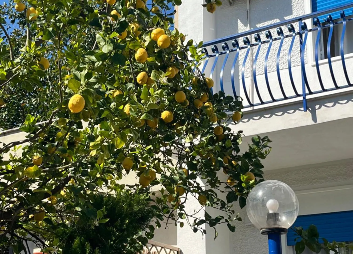 Villa Del Limone , Mondello Via Deucalione 18 ,Via Miseno 18 Palermo Olaszország